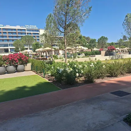 Daire Abbazia 1 Poreč